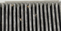 CF4